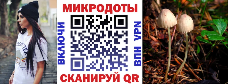 blacksprut онион  Заволжье  Галлюциногенные грибы Psilocybe 