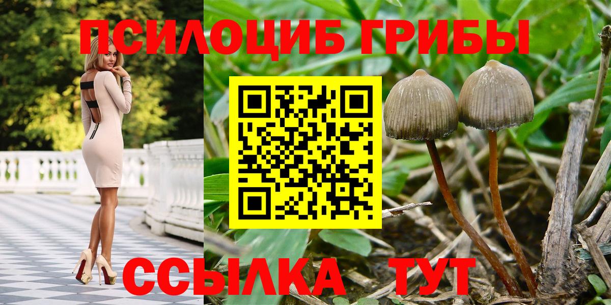 Псилоцибиновые грибы ЛСД  Галлюциногенные грибы Psilocybe  Заволжье  Вход с VPN 