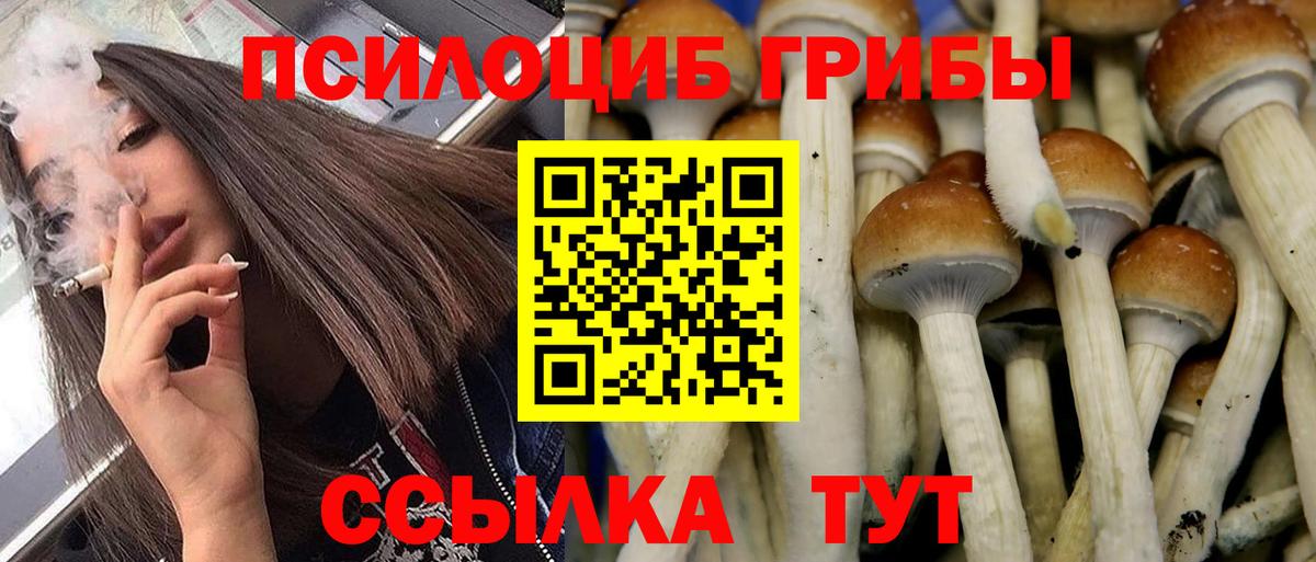 Псилоцибиновые грибы мицелий  Заволжье 