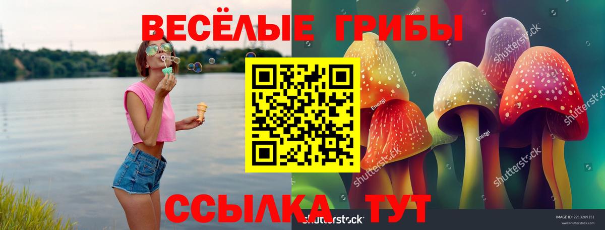 Псилоцибиновые грибы GOLDEN TEACHER Заволжье